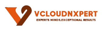 VCloudNxpert Logo